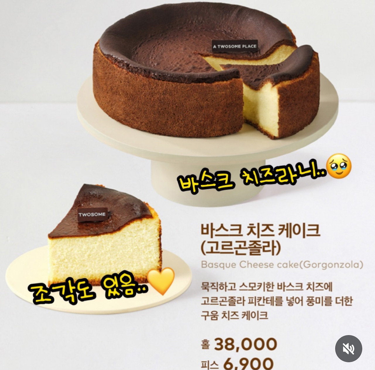 이제 전국 출시한다는 투썸케이크&브라우니 출시 | 인스티즈