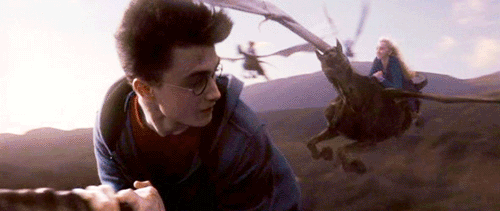 해리포터에서 가장 타보고 싶은 비행수단은? | 인스티즈