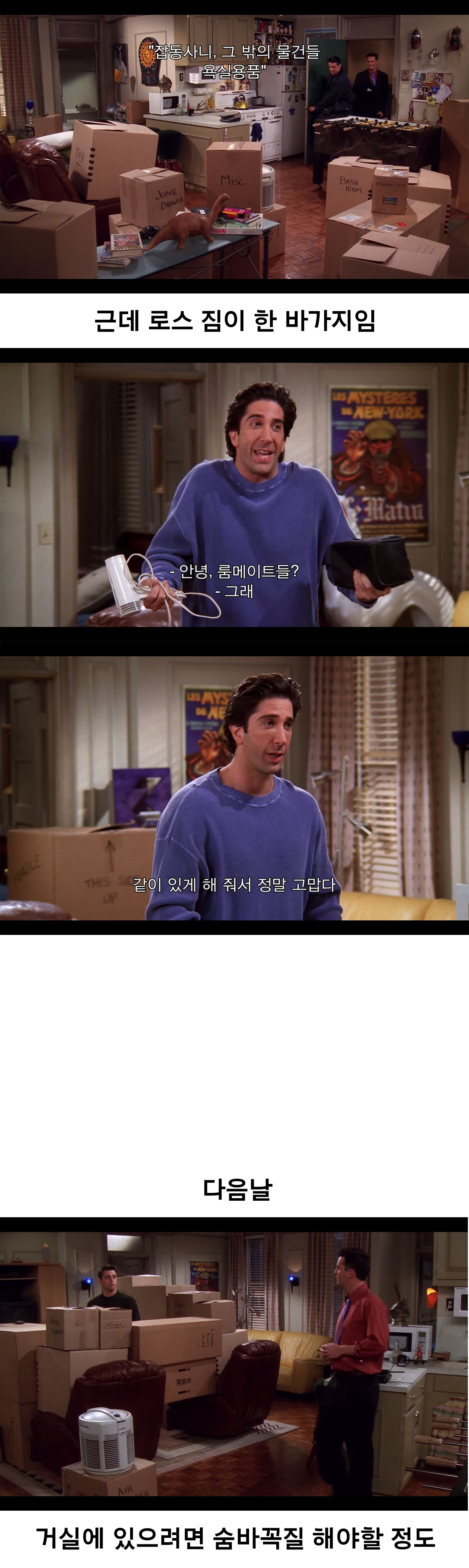 [프렌즈] 친구가 집이 없어서 같이 살자했는데 졸라 까탈레나임 | 인스티즈