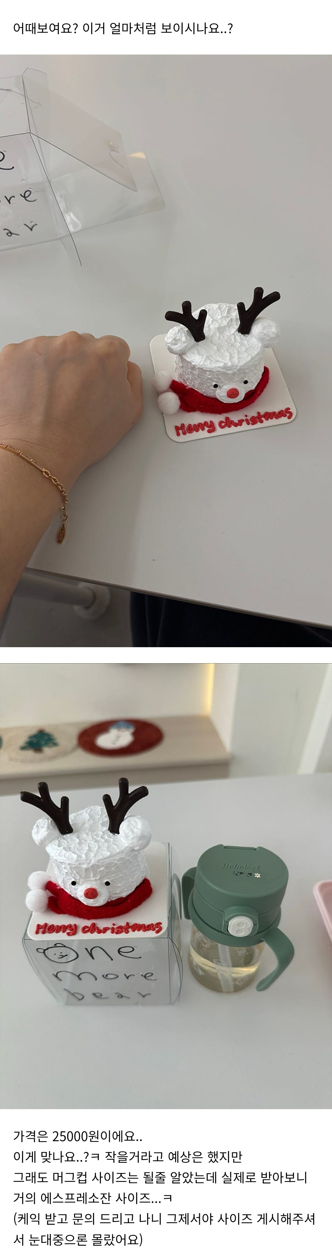 요즘 케이크 물가 알았다 vs 몰랐다 | 인스티즈