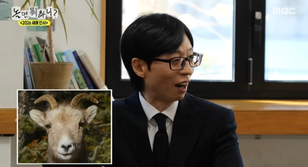 [놀면뭐하니] 모두가 인정한 관상가가 꼽은 유재석 닮은 꼴 동물ㅋㅋ | 인스티즈