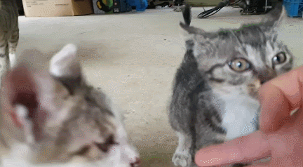 [hahaha] 양어장 일짱 하연님 | 인스티즈