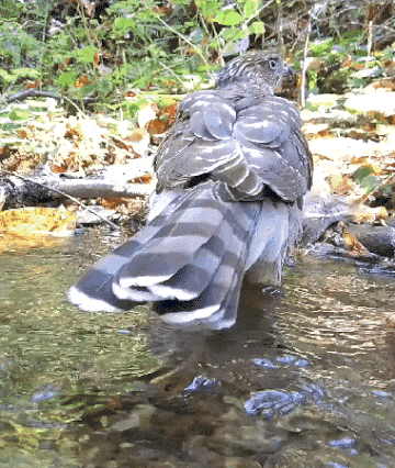매형 엉덩이 씻치는 모습 | 인스티즈