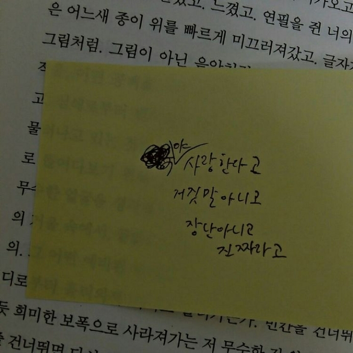 BL러들이 이런 거 어딨어?라고 할 때 '이런 거' 모음 | 인스티즈