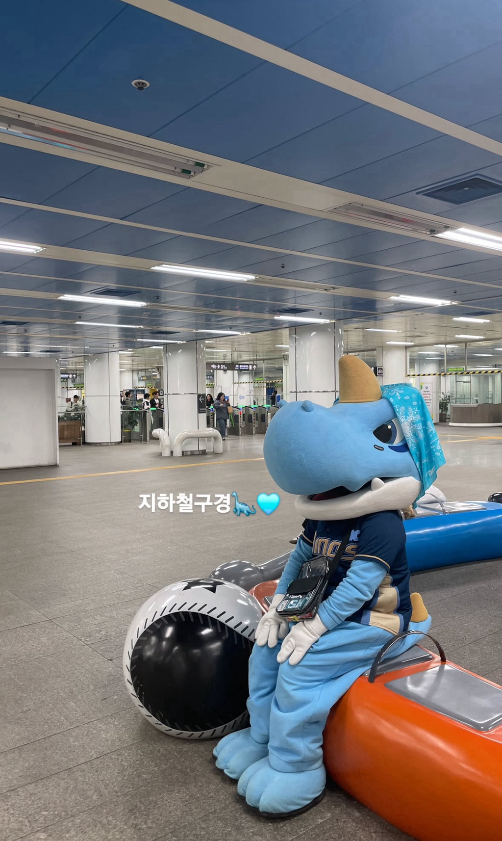 단디 이미지