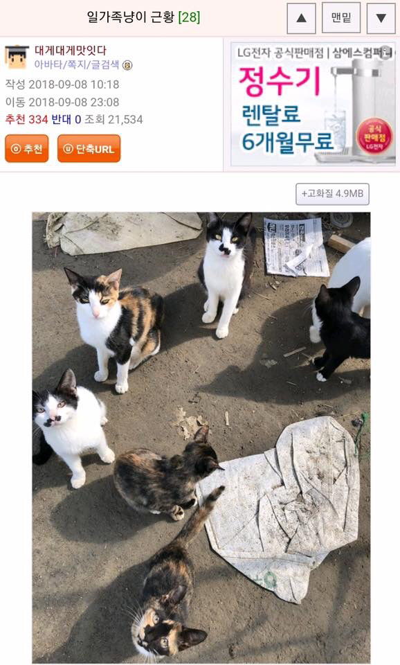 디제이디오지 9