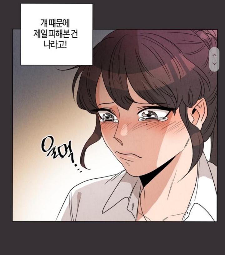 언니부부가 사고로 죽고나서 웬수같은 사돈총각놈과 싸우다가 사고가 났는데 눈떠보니 고딩이 되어버렸어요 | 인스티즈