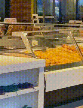 빵 훔치고 당당하게 달아나는 고양이.gif | 인스티즈