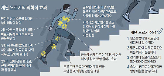 한혜진이 추천하는 가장 살 많이 빠지는 운동법 | 인스티즈