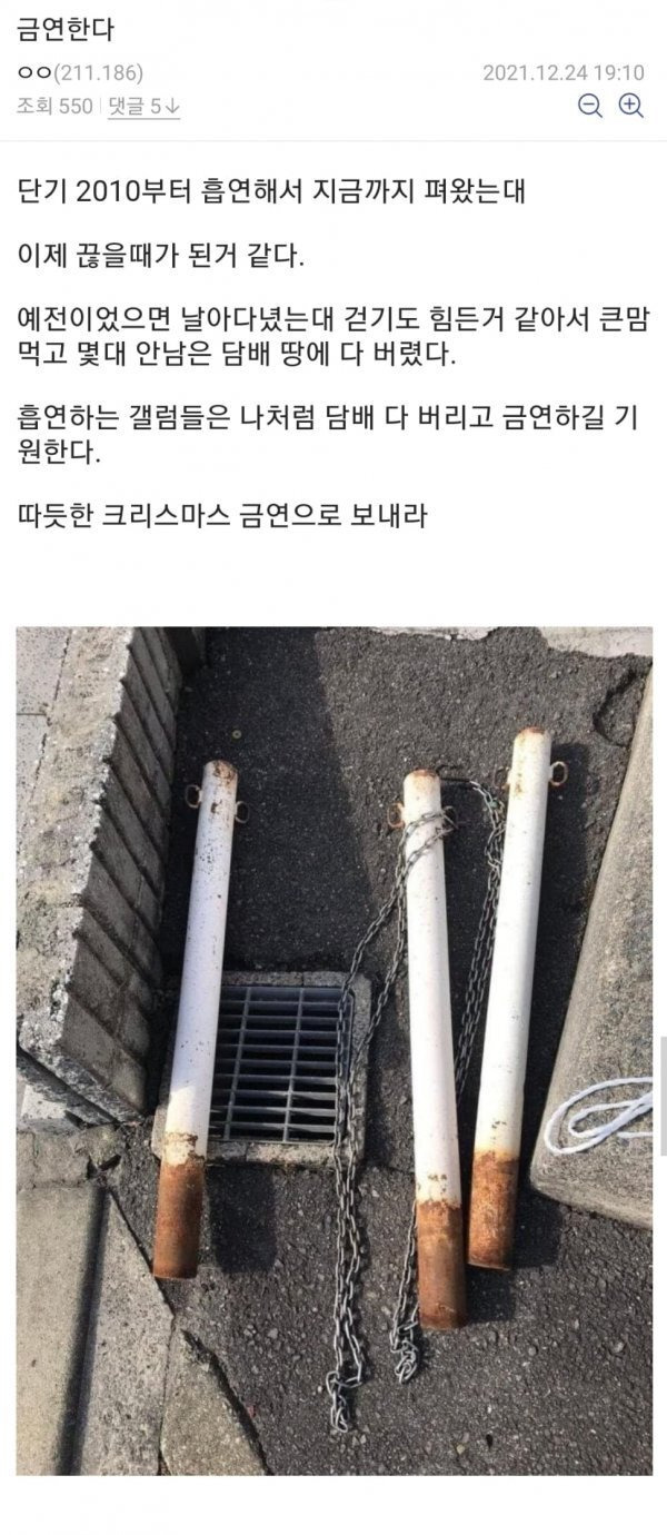 허언증 갤러리 | 인스티즈