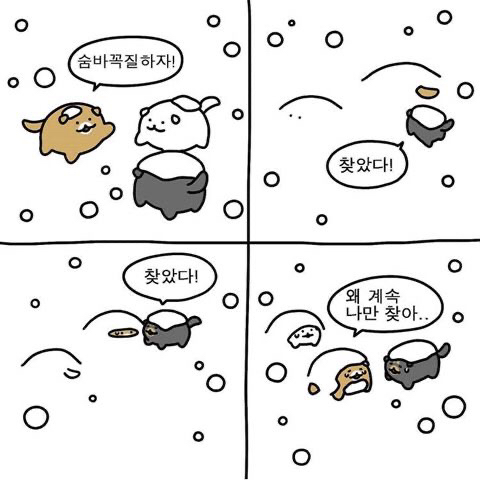 사랑은 낭만적이라 지독하리만큼 아프고 금방 시들어버려서 | 인스티즈