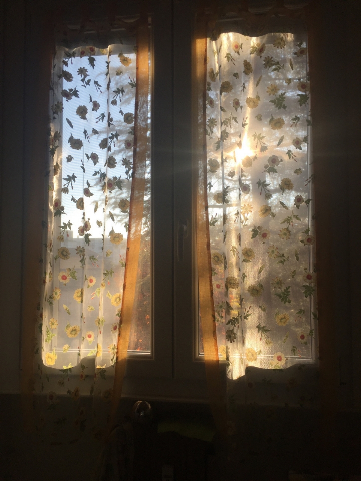 지극히 평화롭고 사랑스러운 | 인스티즈