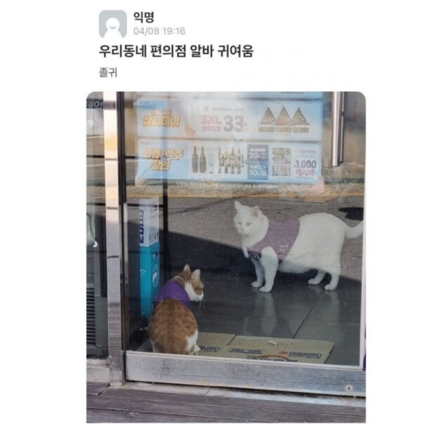 우리동네편의점 이미지