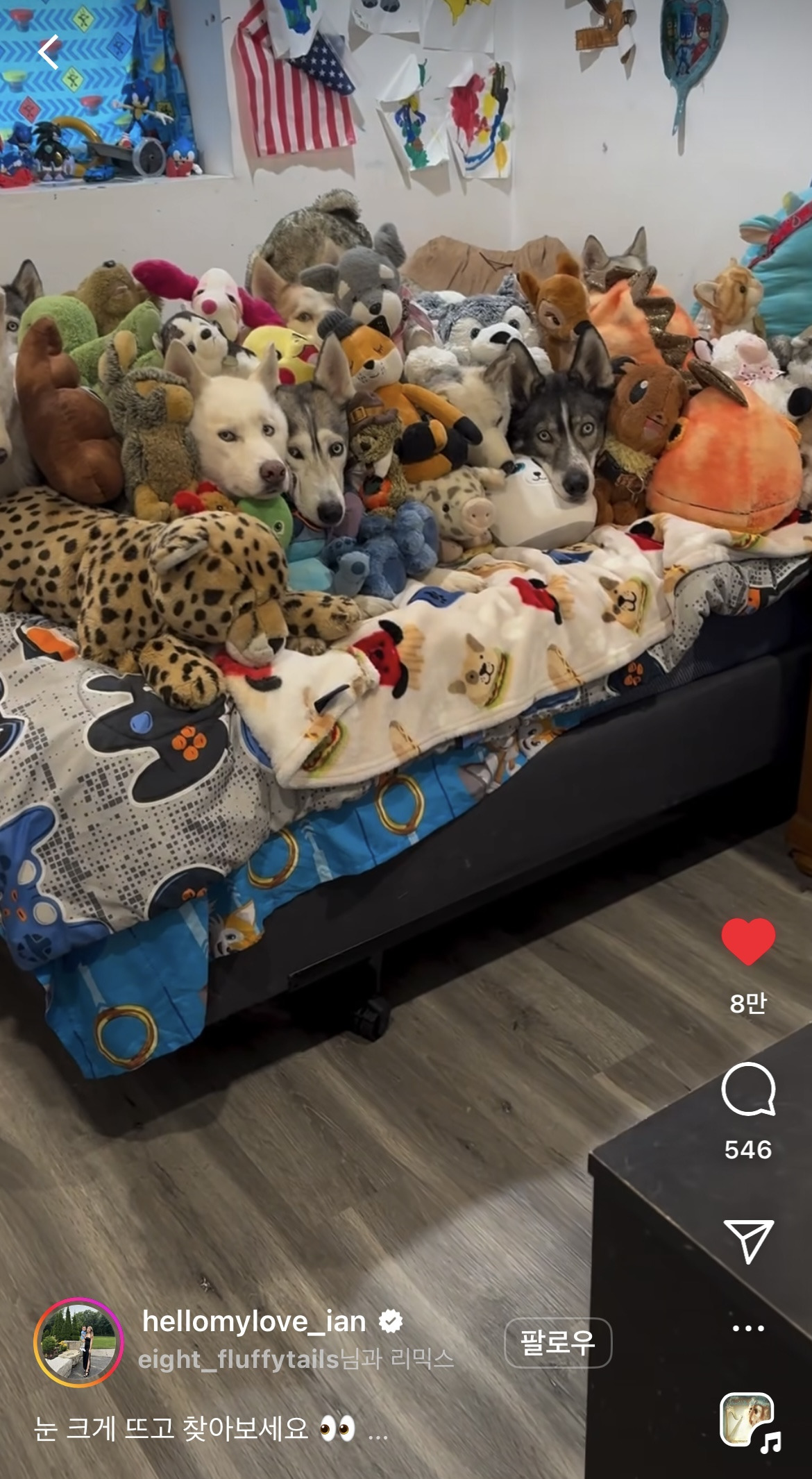 반려견 키우면 안 되는 집에 집주인이 방문할 때 | 인스티즈