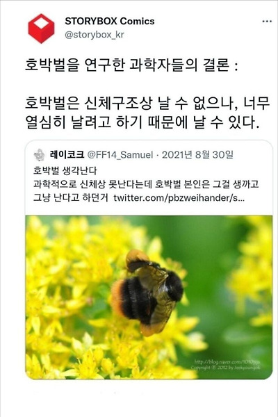 호박벌과 해파리가 살아가는 방식 | 인스티즈