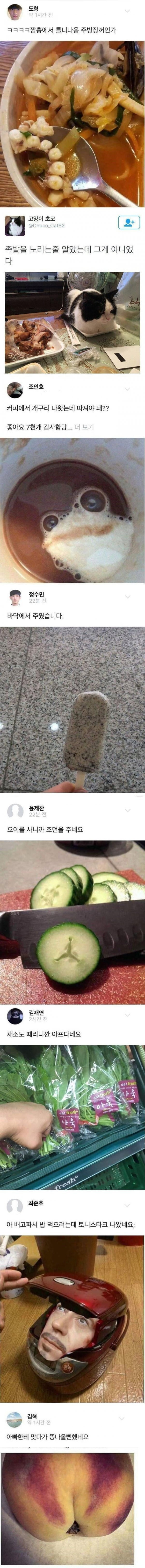 허언증 갤러리 | 인스티즈
