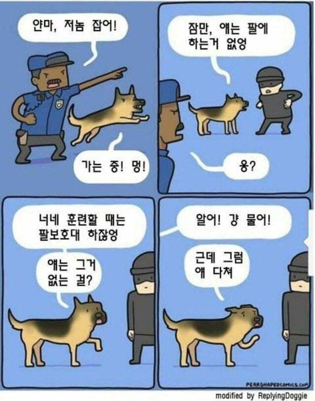 실제로 꽤 흔하다는 경찰견 해고사유 | 인스티즈