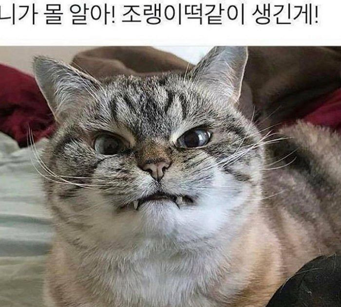 말랑말랑 이미지