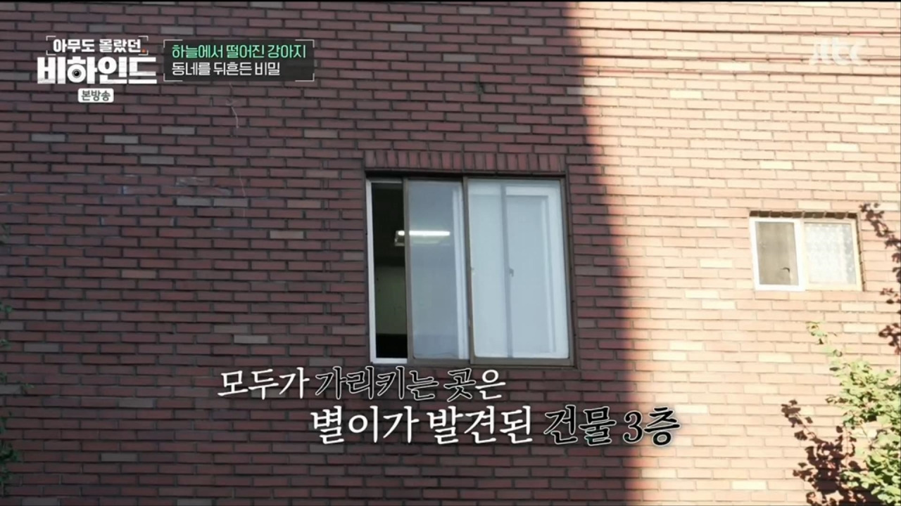 할머니와 할아버지와 함께 쓰레기집에서 살던 18마리의 강아지들 | 인스티즈