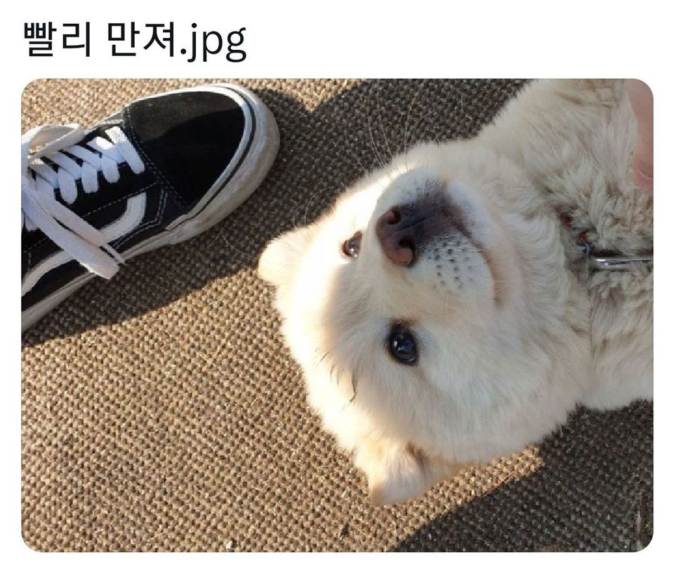 빨리 만져 💕 | 인스티즈