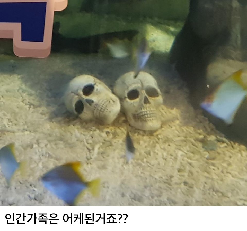 내가 좋아하는 단짠단짠 트윗모음 10 | 인스티즈