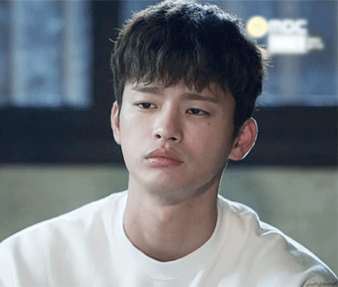 내가 강아지를 한 명 주웠는데 gif | 인스티즈