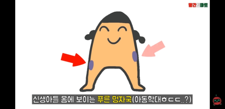 한국인 종특 | 인스티즈