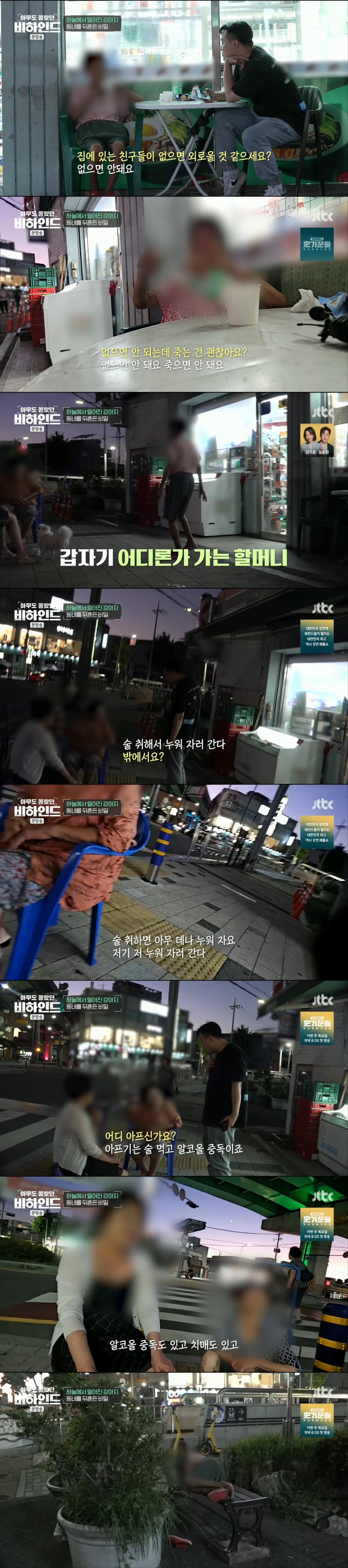 할머니와 할아버지와 함께 쓰레기집에서 살던 18마리의 강아지들 | 인스티즈