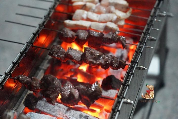 강아지 유치원의 수학여행 | 인스티즈