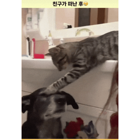 친구가 떠난 후 | 인스티즈