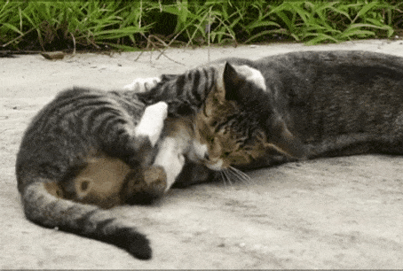 [hahaha] 양어장 일짱 하연님 | 인스티즈