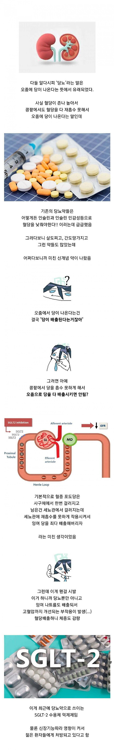 최근 많이 처방되고있는 당뇨 신약 | 인스티즈