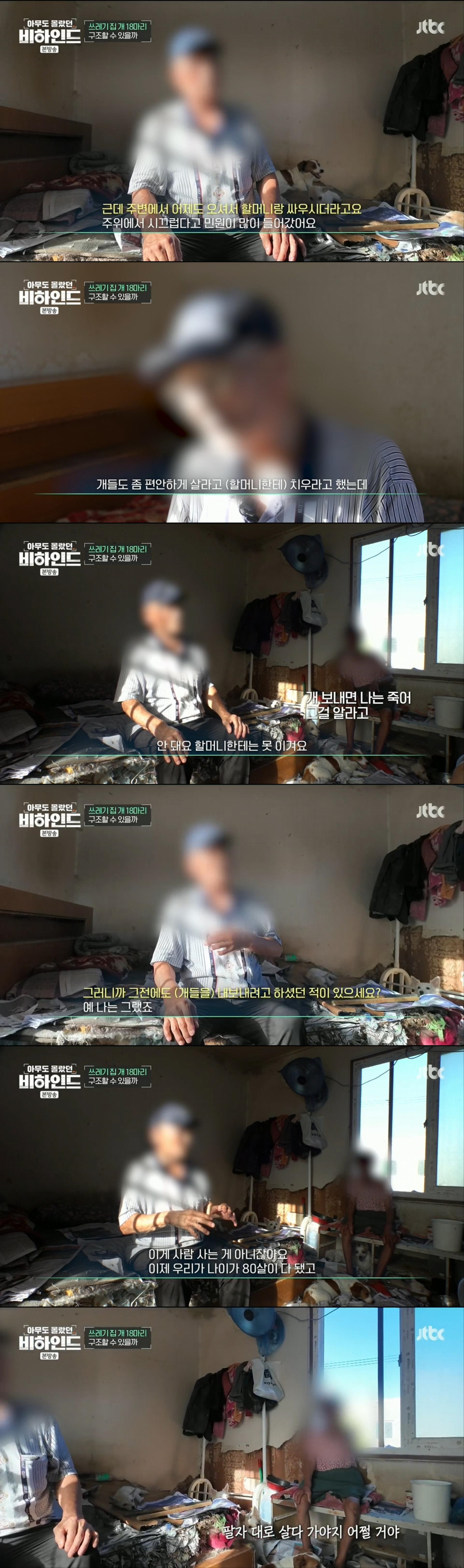 할머니와 할아버지와 함께 쓰레기집에서 살던 18마리의 강아지들 | 인스티즈