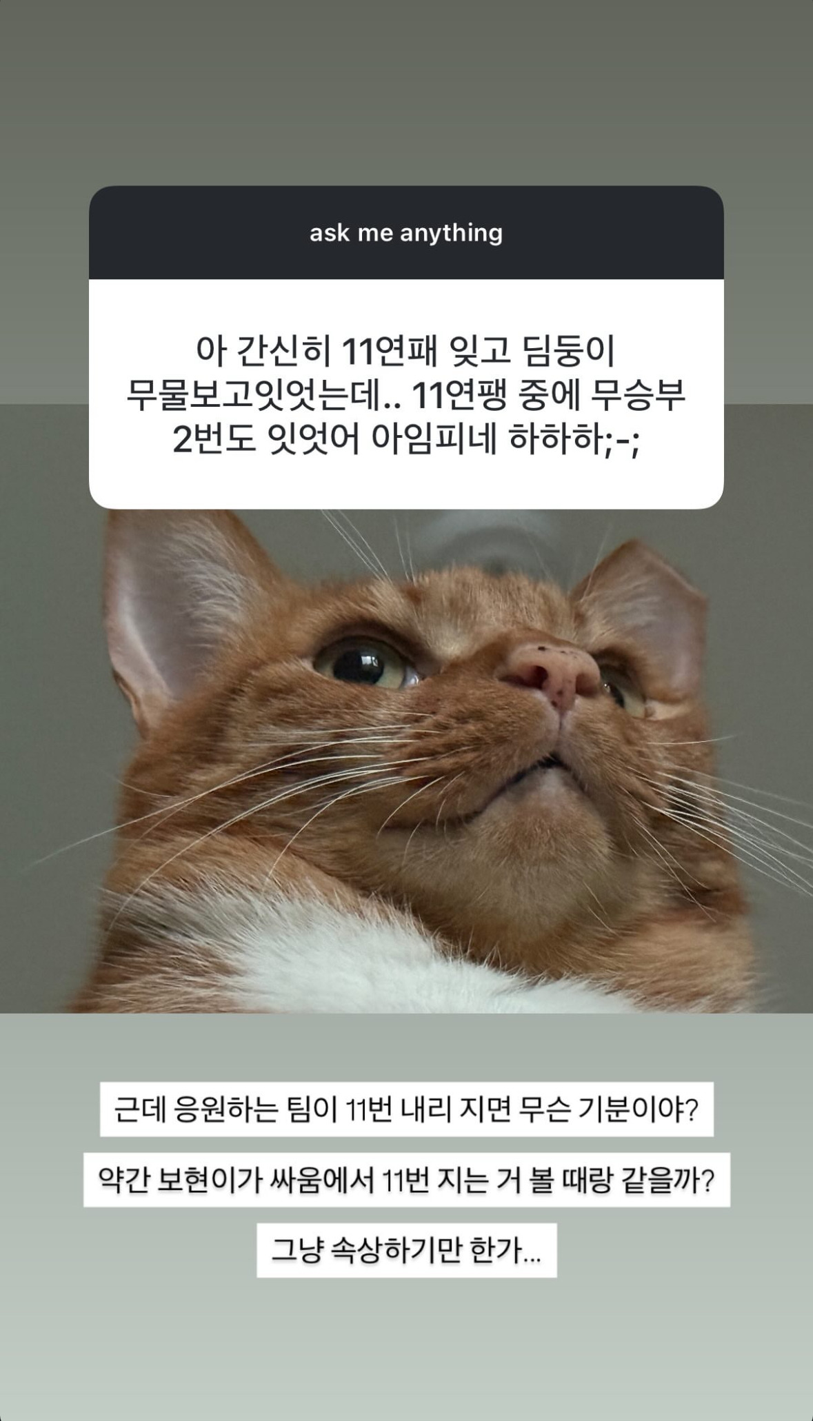 나 좋아하는 유투버 무물보다가 뼈맞음 | 인스티즈