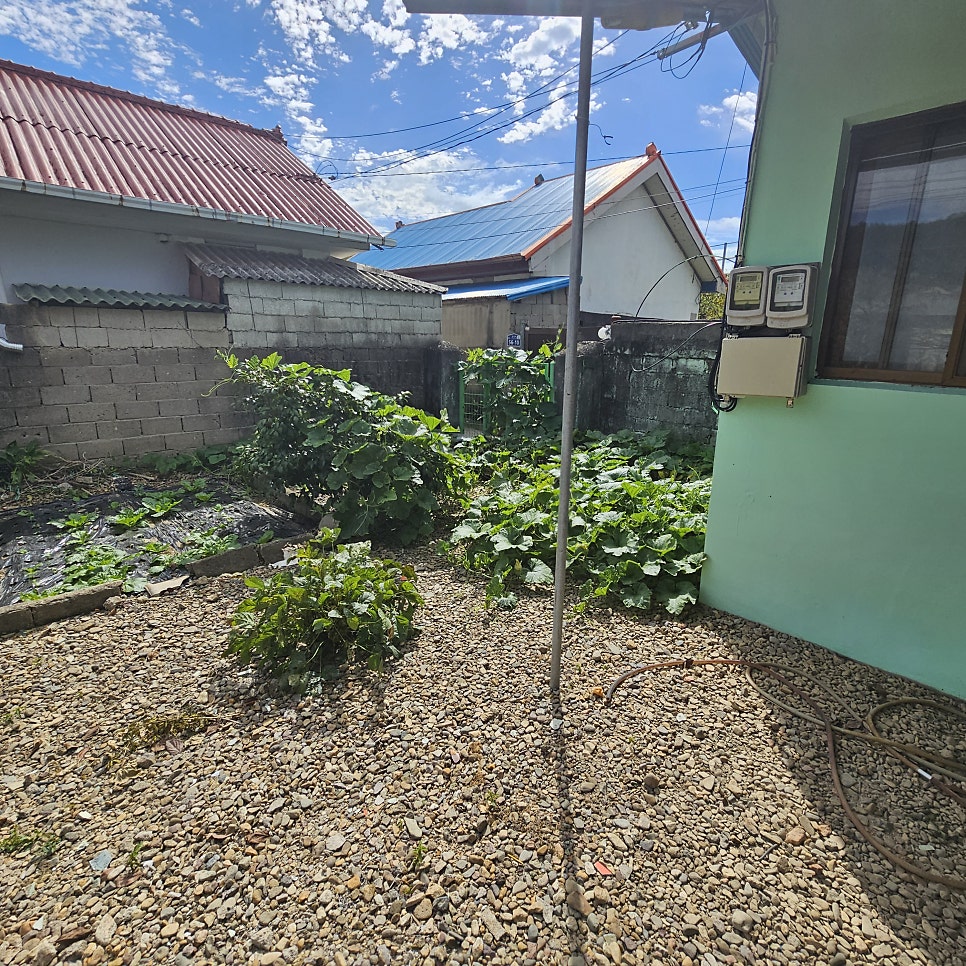 리모델링 싹 해서 월세 1만원으로 나온 집 | 인스티즈