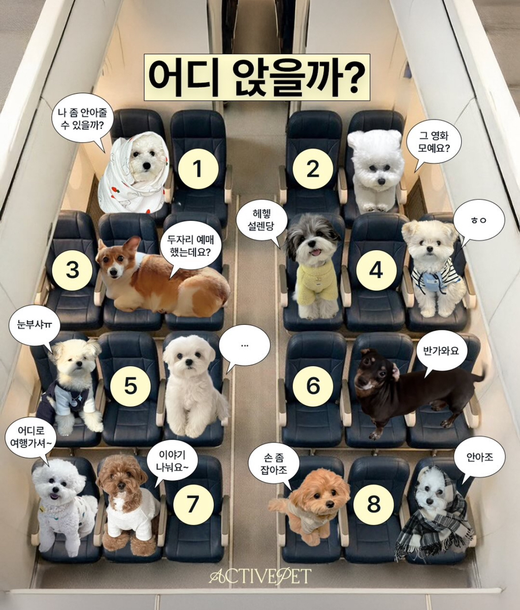 장거리 비행 중인 당신 어디에 앉을 건가요? | 인스티즈