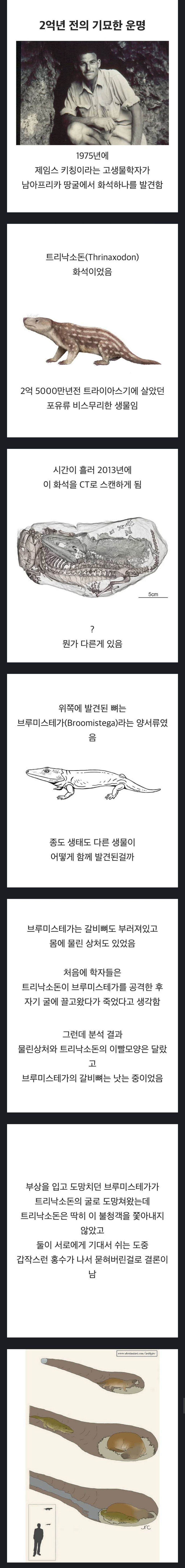 2억년을 함께 | 인스티즈
