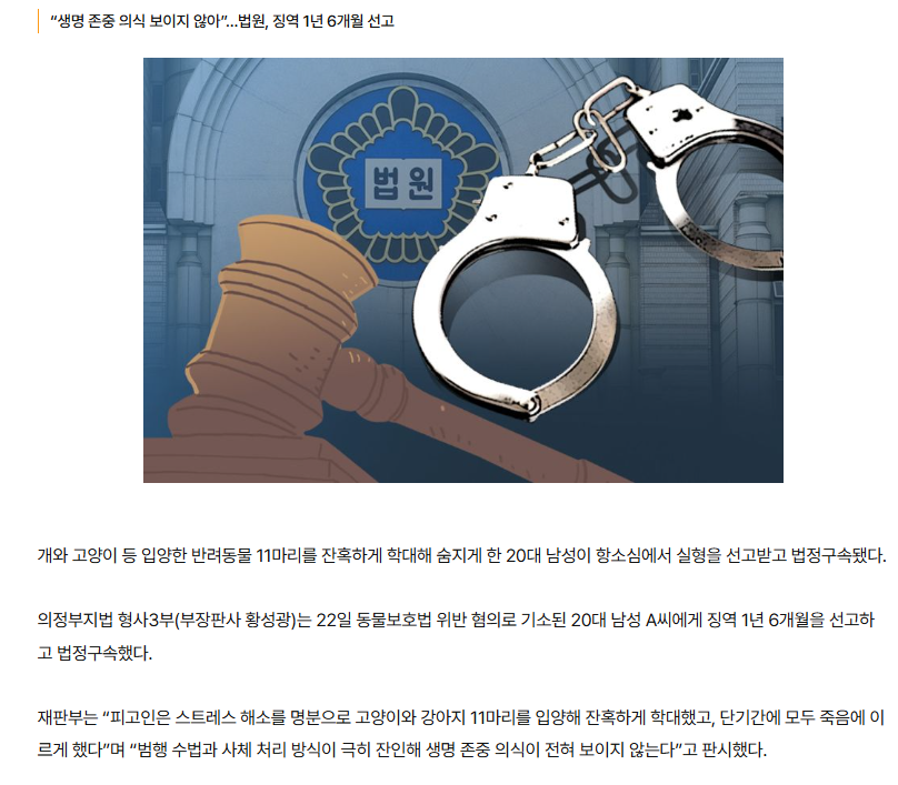 반려동물 11마리 죽인 20대, 항소심서 실형…법정구속 | 인스티즈