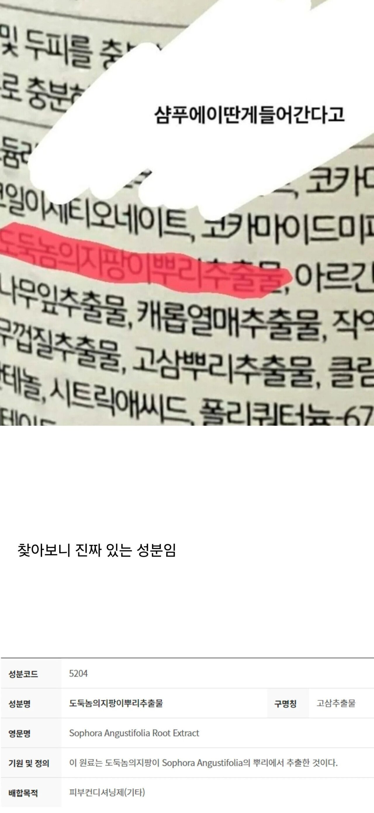 샴푸에 이런 이름의 원료가 들어간다고? ㅋㅋ | 인스티즈