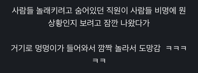 방탈출 중 나타난 괴생명체 | 인스티즈