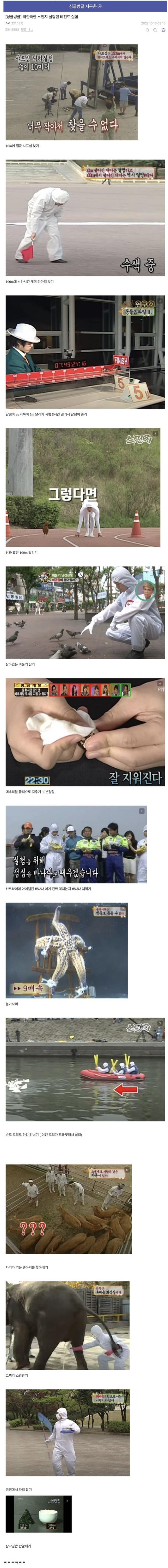 스펀지 실험맨 레전드 실험들 | 인스티즈