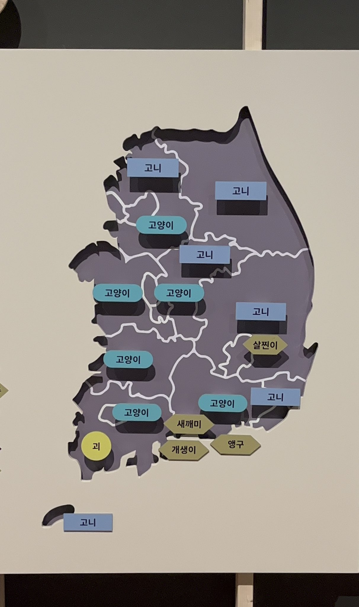고양이를 부르는 지역별 방언 . cat | 인스티즈