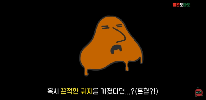 한국인 종특 | 인스티즈