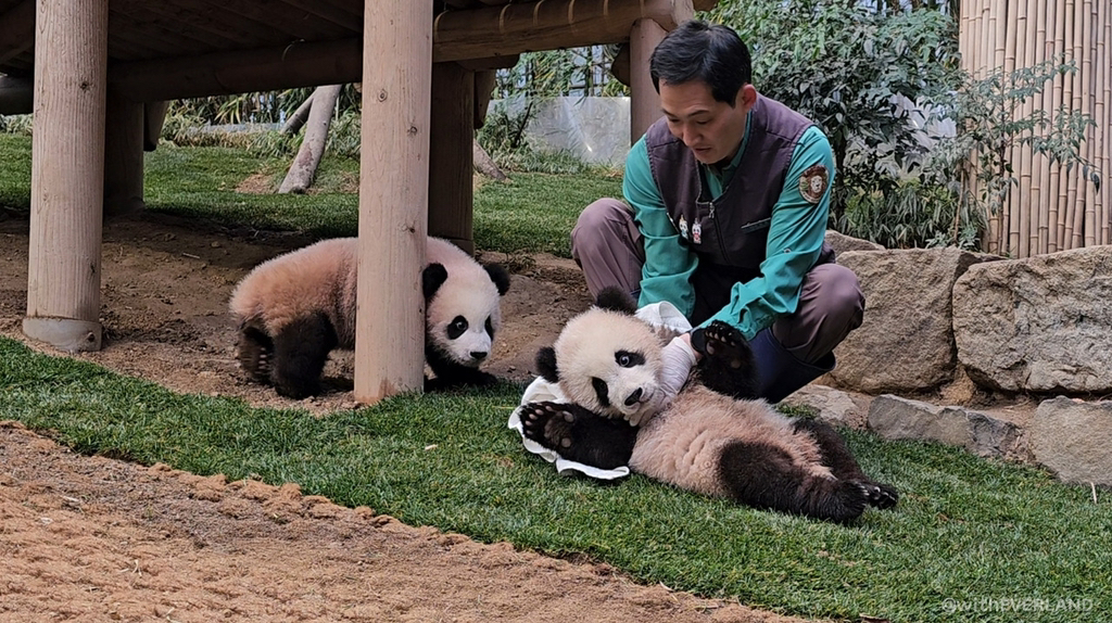 루이 후이 처음 방사장 나왔을 때 정말 충격이었음 | 인스티즈