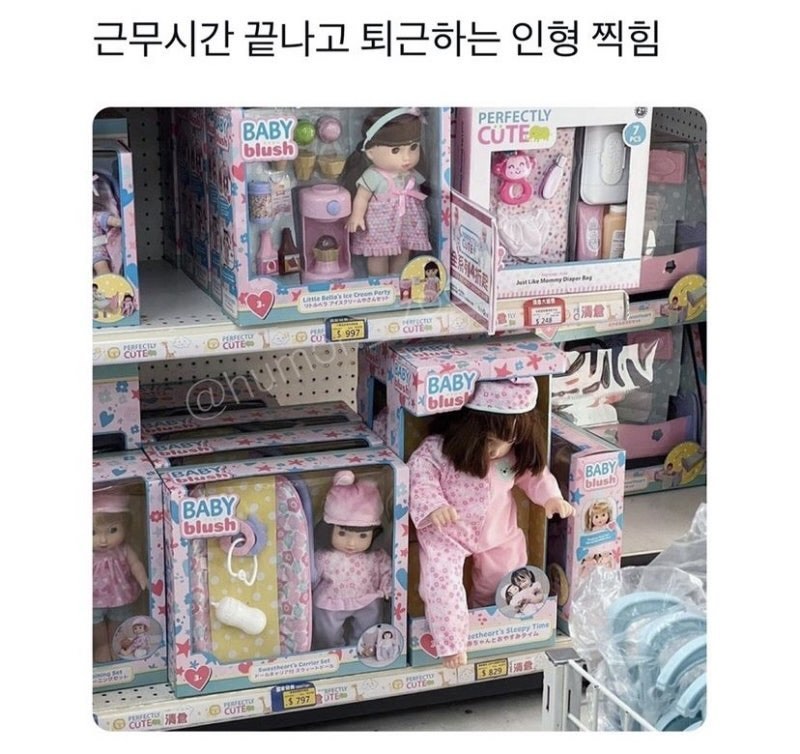 근무시간 끝나고 퇴근하는 인형 찍힘 | 인스티즈