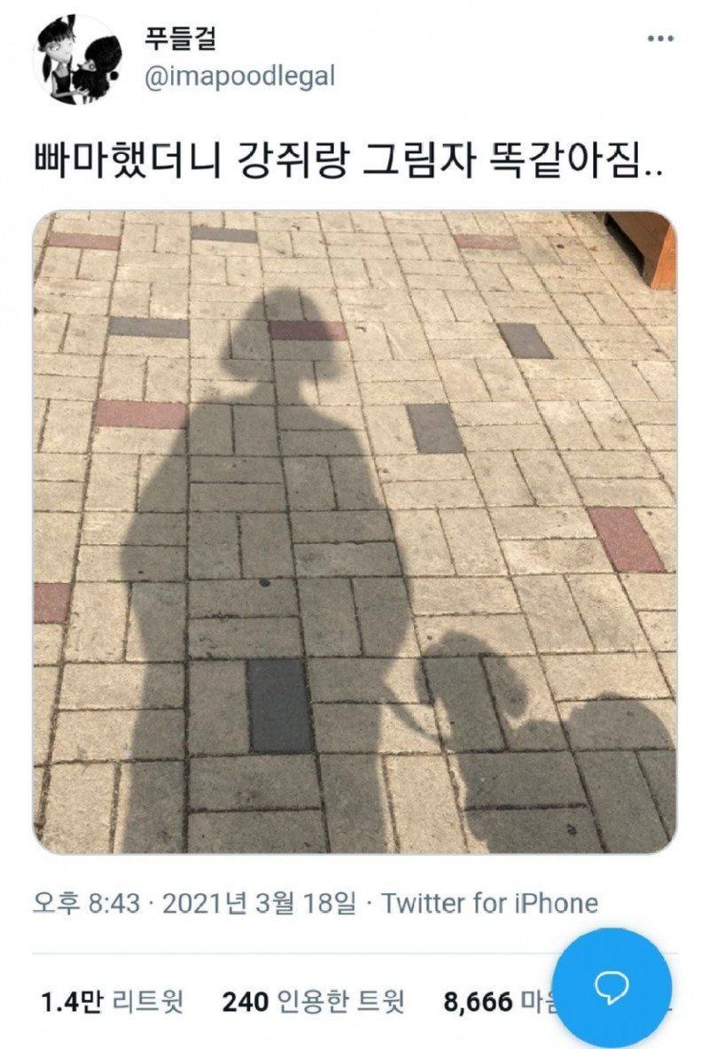 혹시 울햄스터 증명사진 가질 사람 | 인스티즈