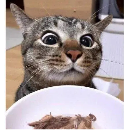 간식줄맛 나냥 | 인스티즈