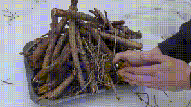 젖은 장작에도 불 붙여주는 필수템.gif | 인스티즈