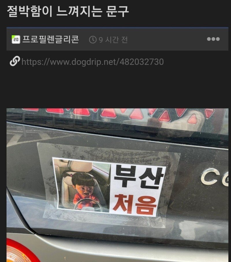 절박함이 느껴지는 운전 문구 | 인스티즈