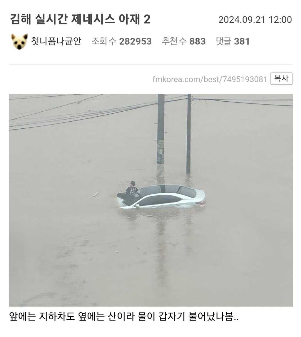 실시간 김해 제네시스 차주 | 인스티즈